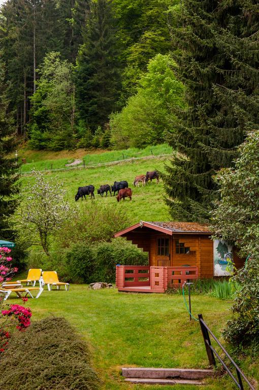 Holzschuhs Schwarzwaldhotel Baiersbronn Zewnętrze zdjęcie